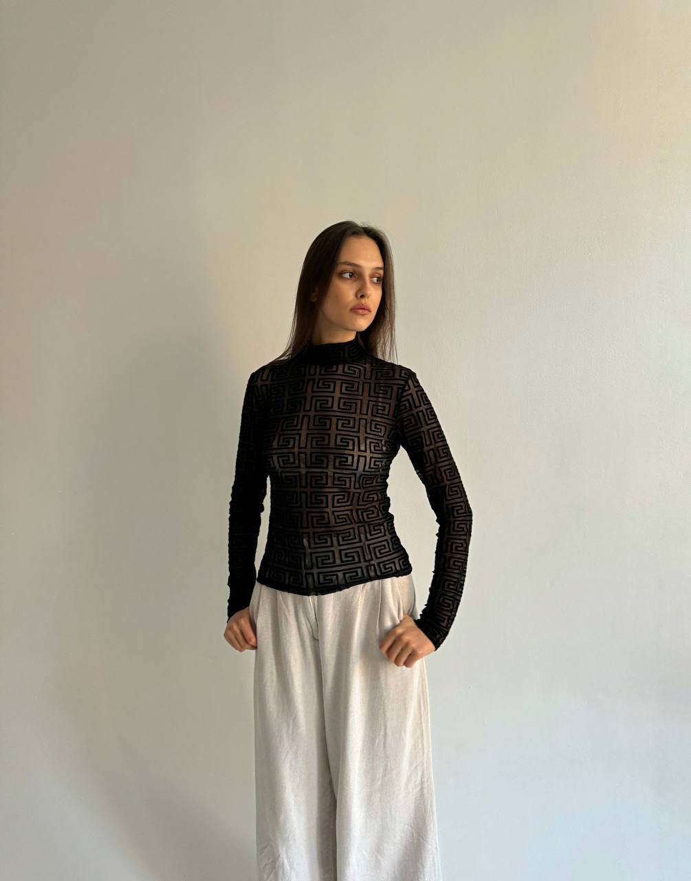 Vintage mesh velvet ornament blouse