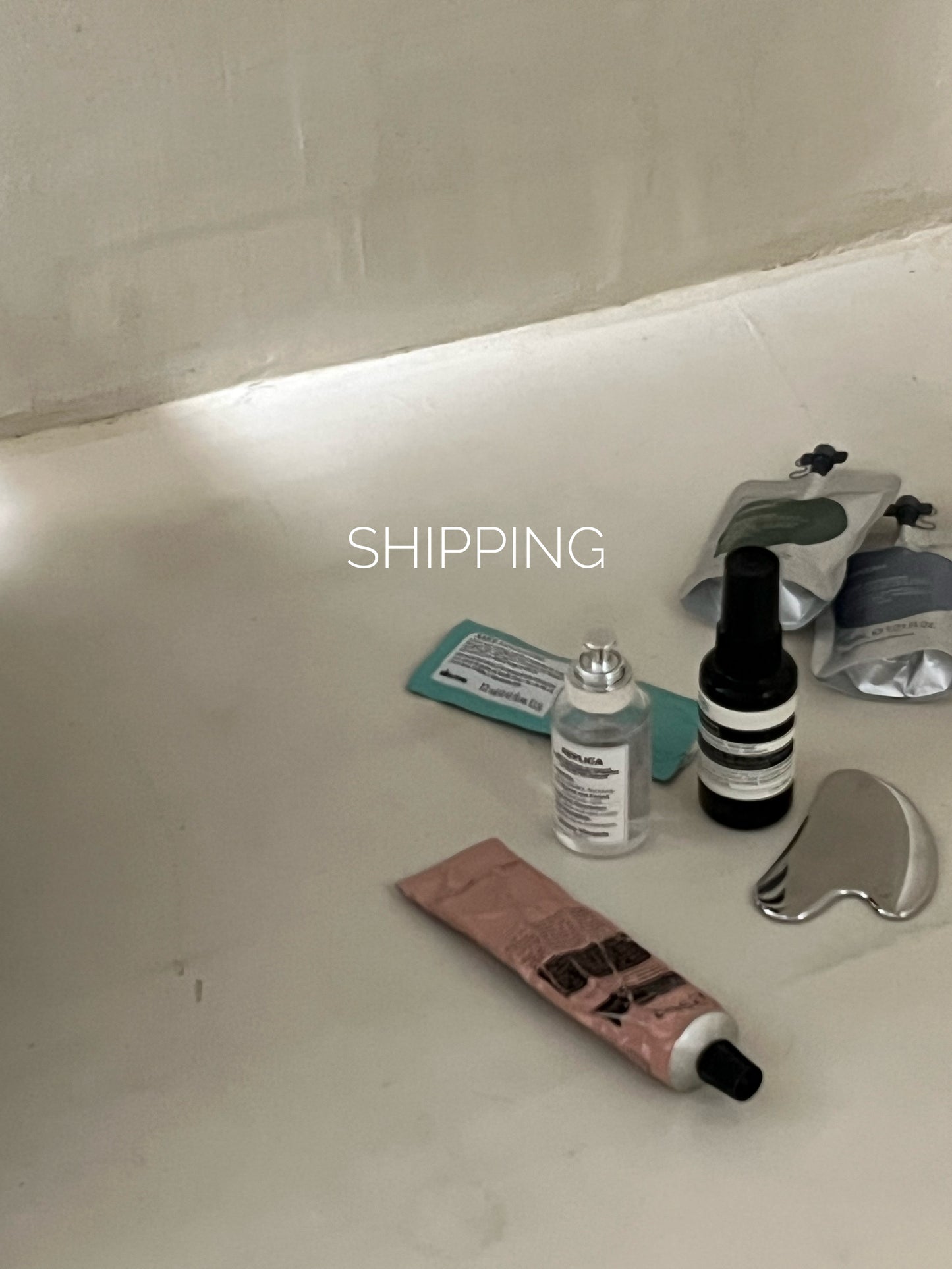 Shipping to USA