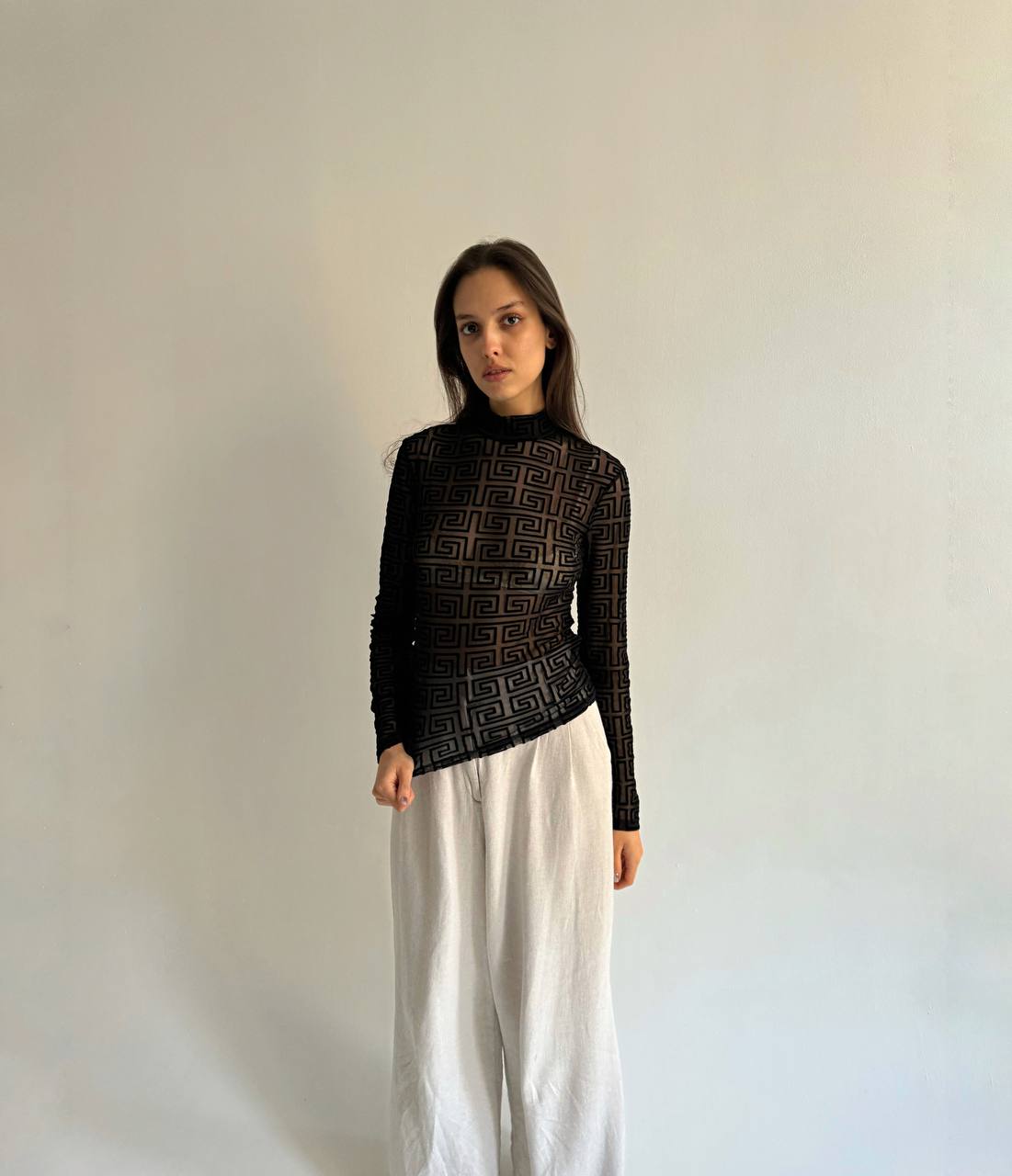 Vintage mesh velvet ornament blouse