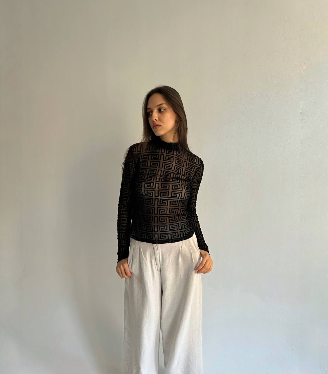Vintage mesh velvet ornament blouse